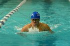 Swimming vs Bentley  Wheaton College Swimming & Diving vs Bentley College. - Photo by Keith Nordstrom : Wheaton, Swimming & Diving